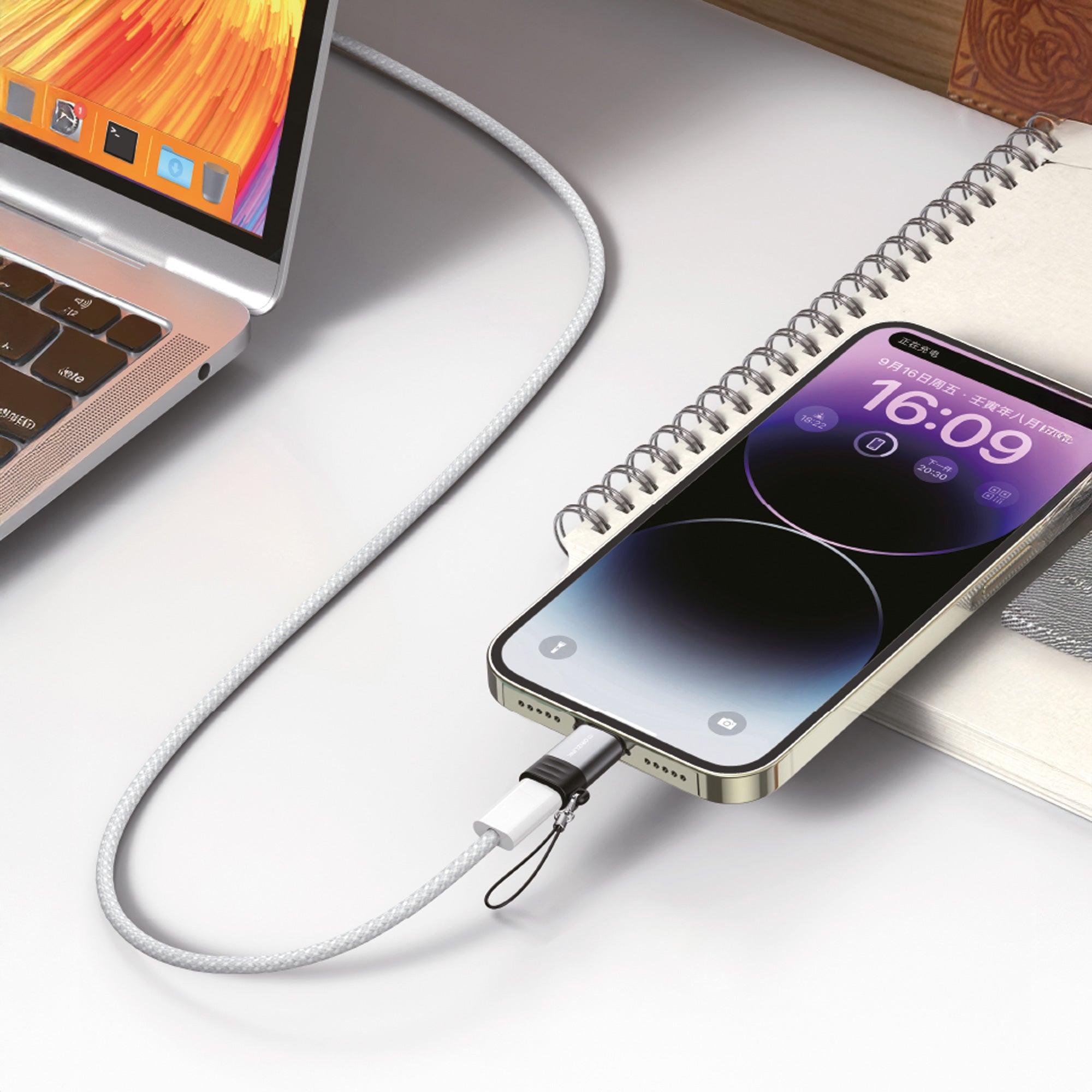 Mini Adaptateur OTG USB-C vers Lightning Grizlink