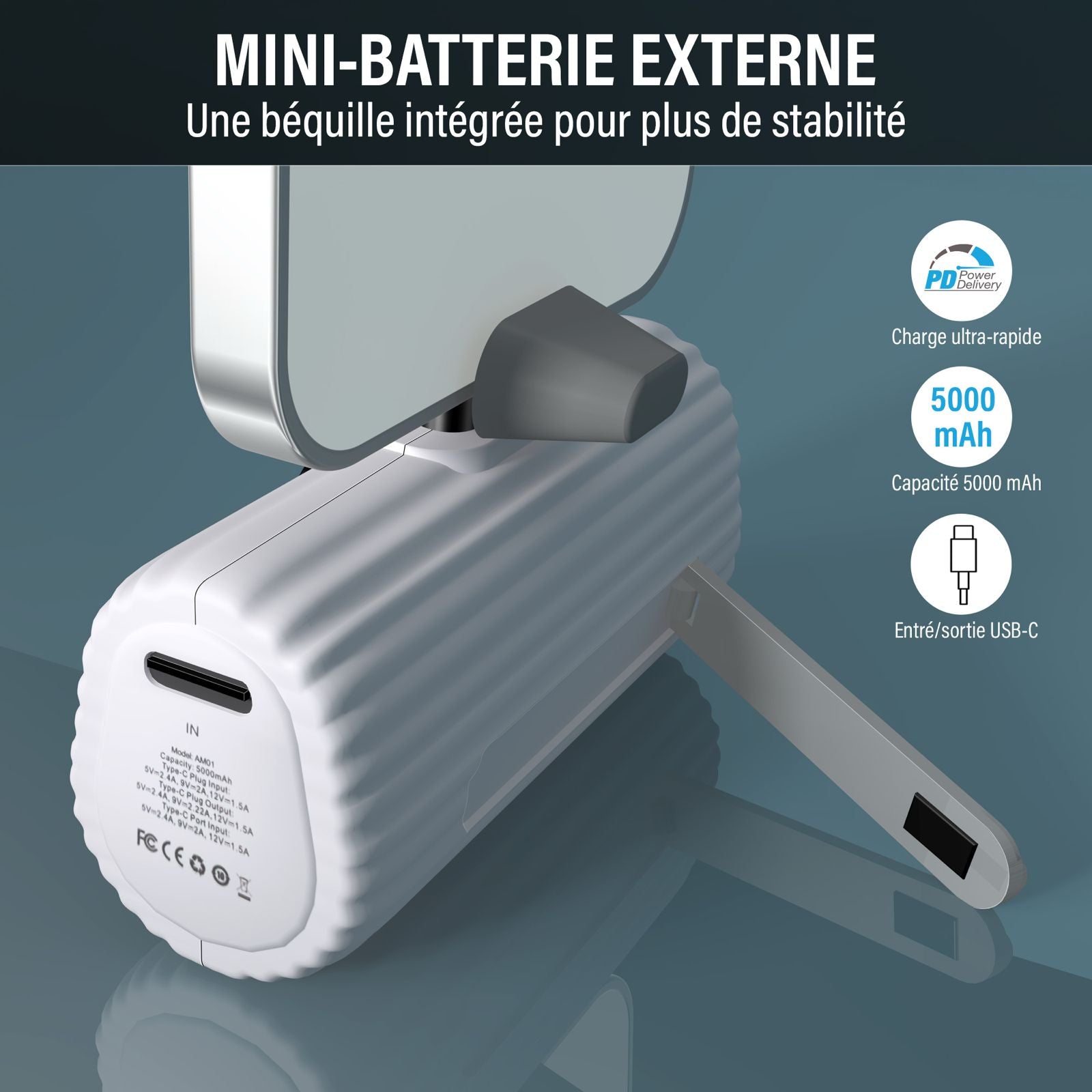 Mini Batterie externe Grizlink 5000mAh
