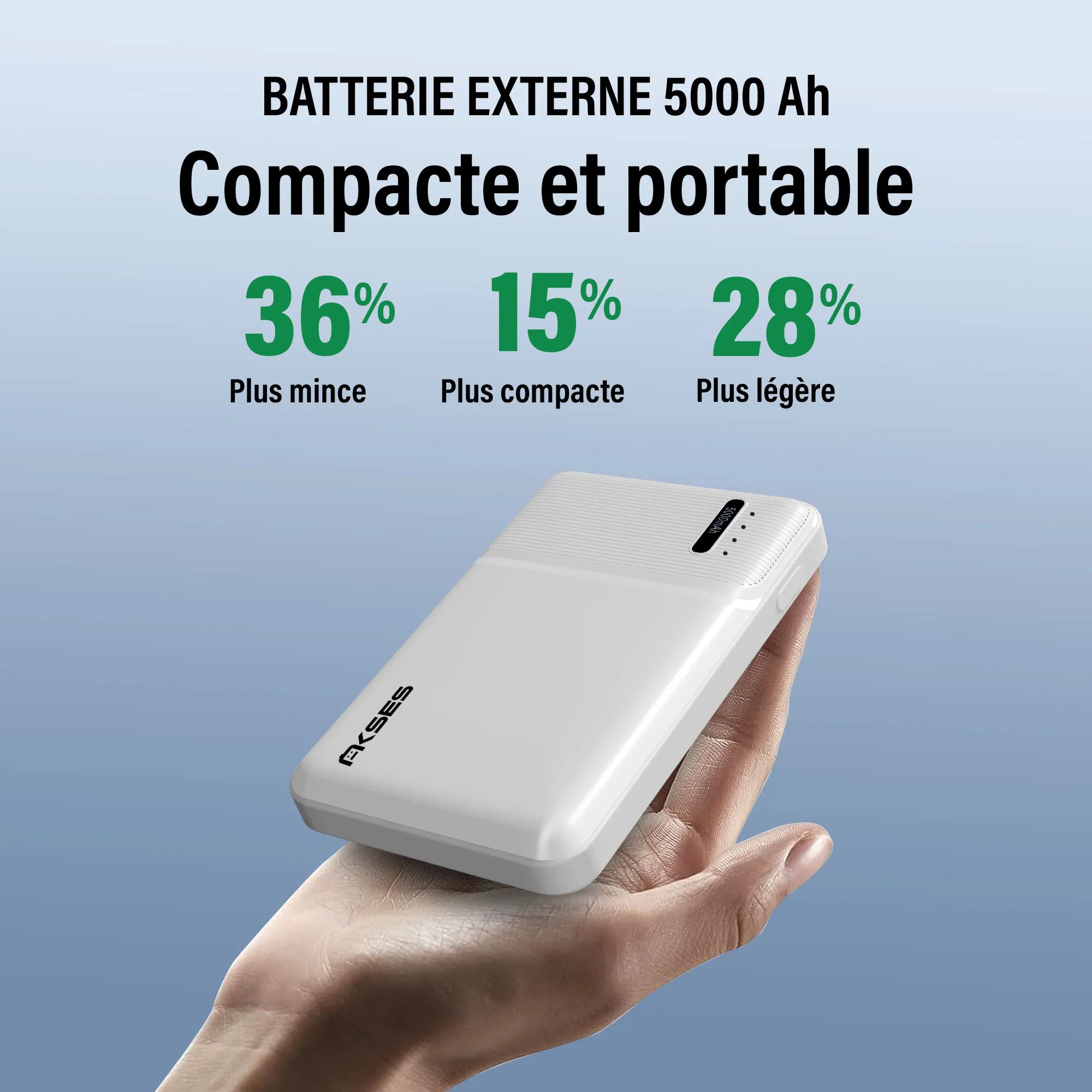 Batterie externe 5000mAh Akses